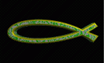 fish1.gif (29483 bytes)